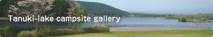Tanuki-lake camp gallery