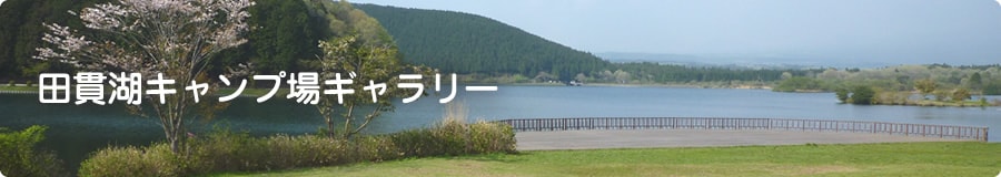 田貫湖キャンプ場ギャラリー